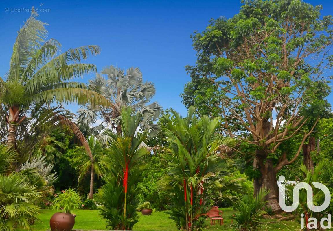 Photo 9 - Maison à LE LAMENTIN