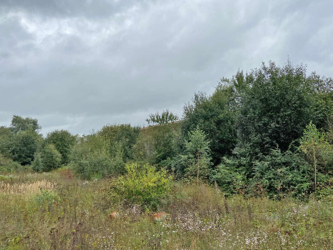 Friche sur 73 ares - potentiel a exploiter - photo 2