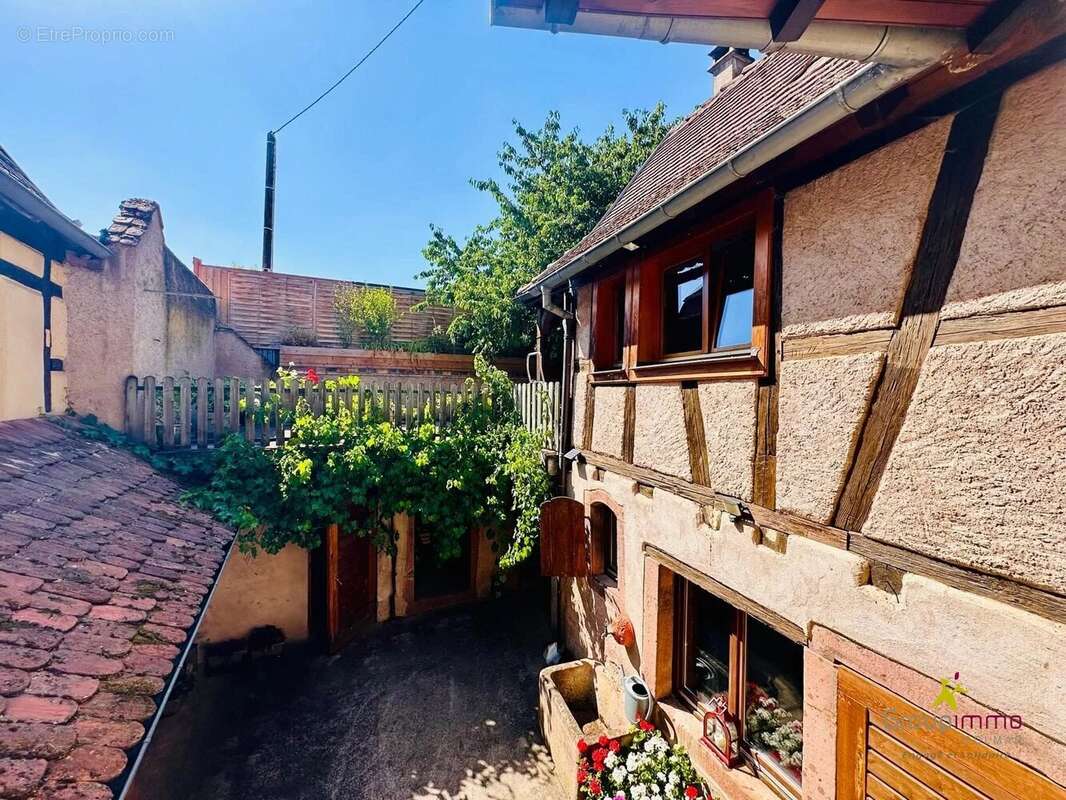 Maison 8P - 170m² - Coeur du vignoble - Terrasse - photo 11