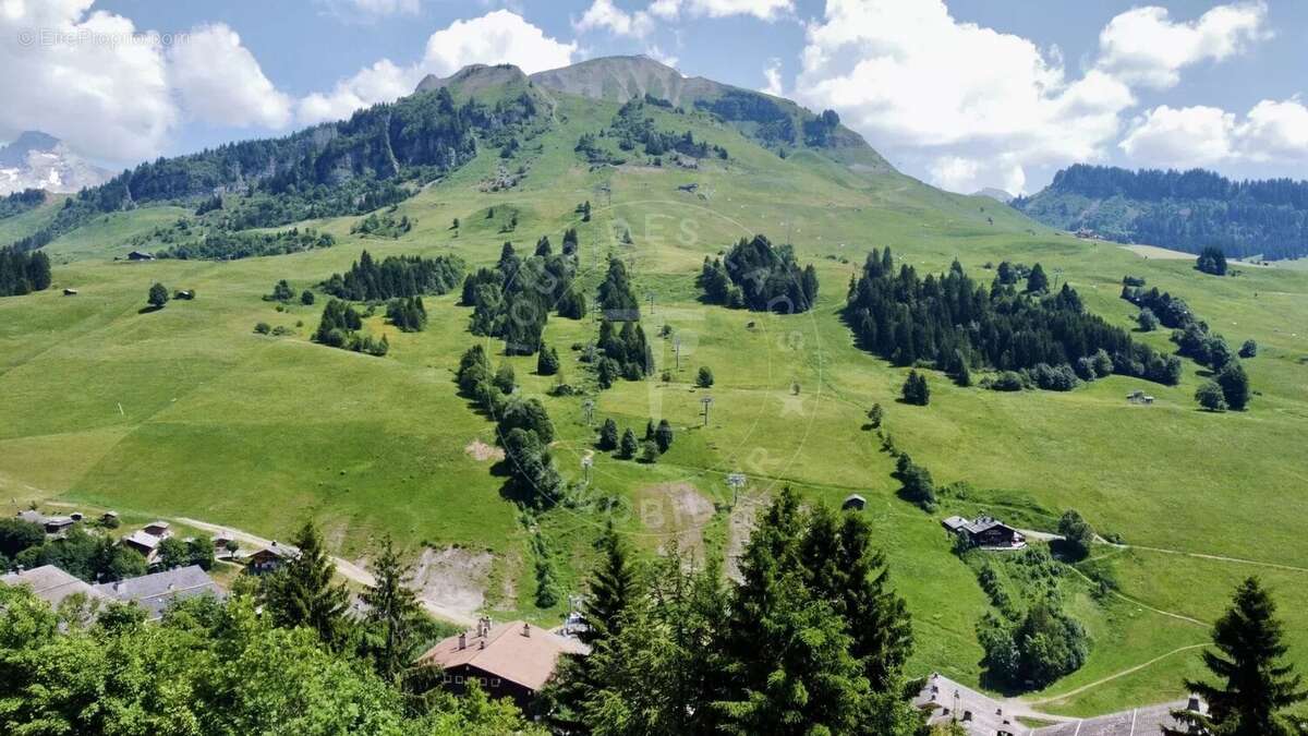 Maison à LE GRAND-BORNAND