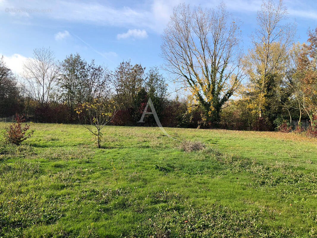 Terrain à VOUILLE-LES-MARAIS