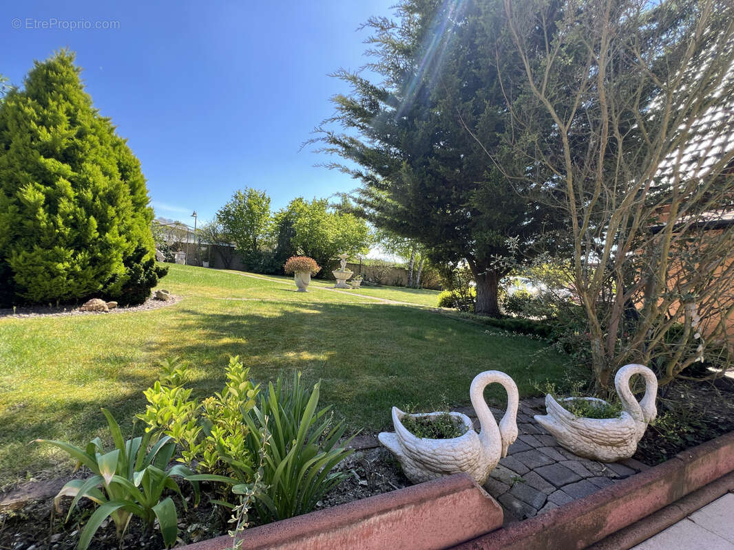 Maison à WILLGOTTHEIM