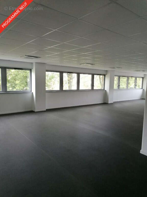 Commerce à MONT-SAINT-AIGNAN