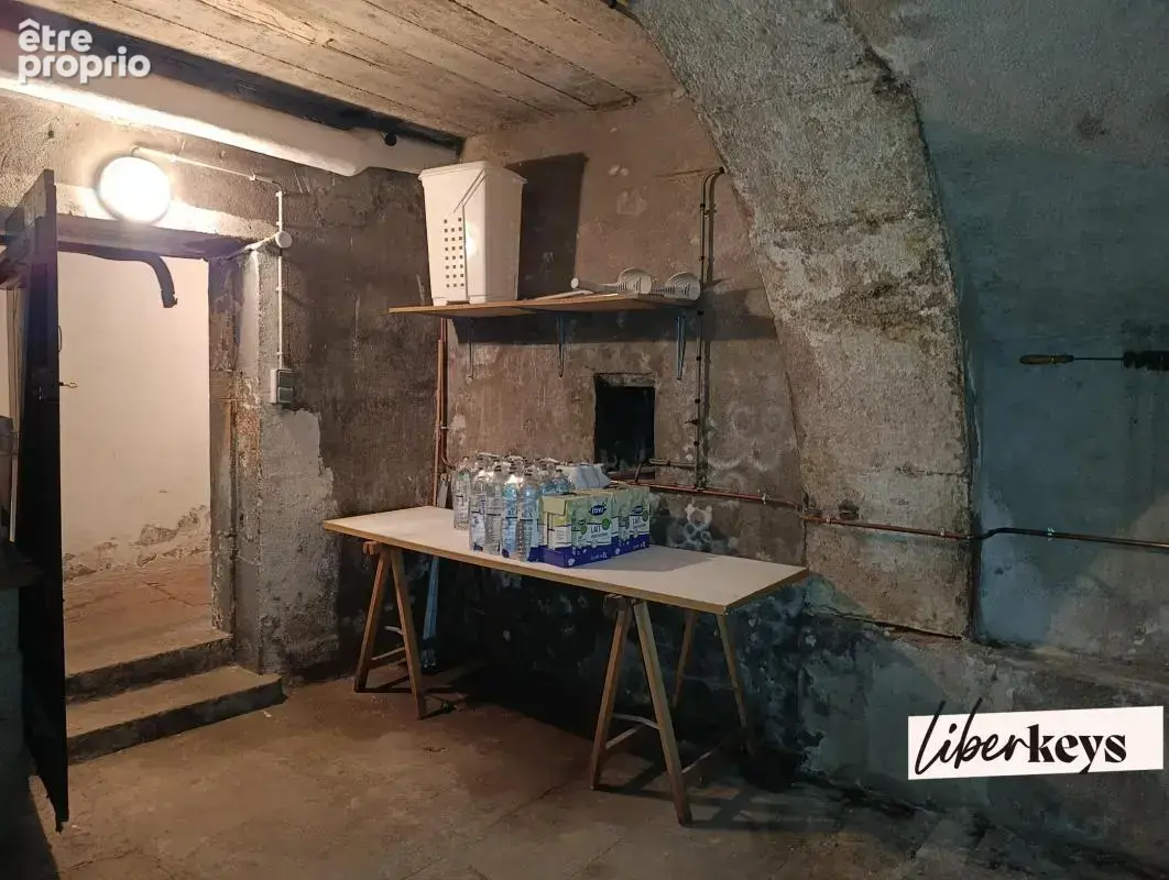 2 appartements standing mono propriété - 229,50 m² - comble aménageable - balcons - garage double- caves - vue quai de saône - photo 17