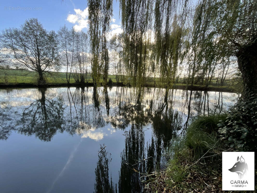 Terrain à BONNOEUVRE
