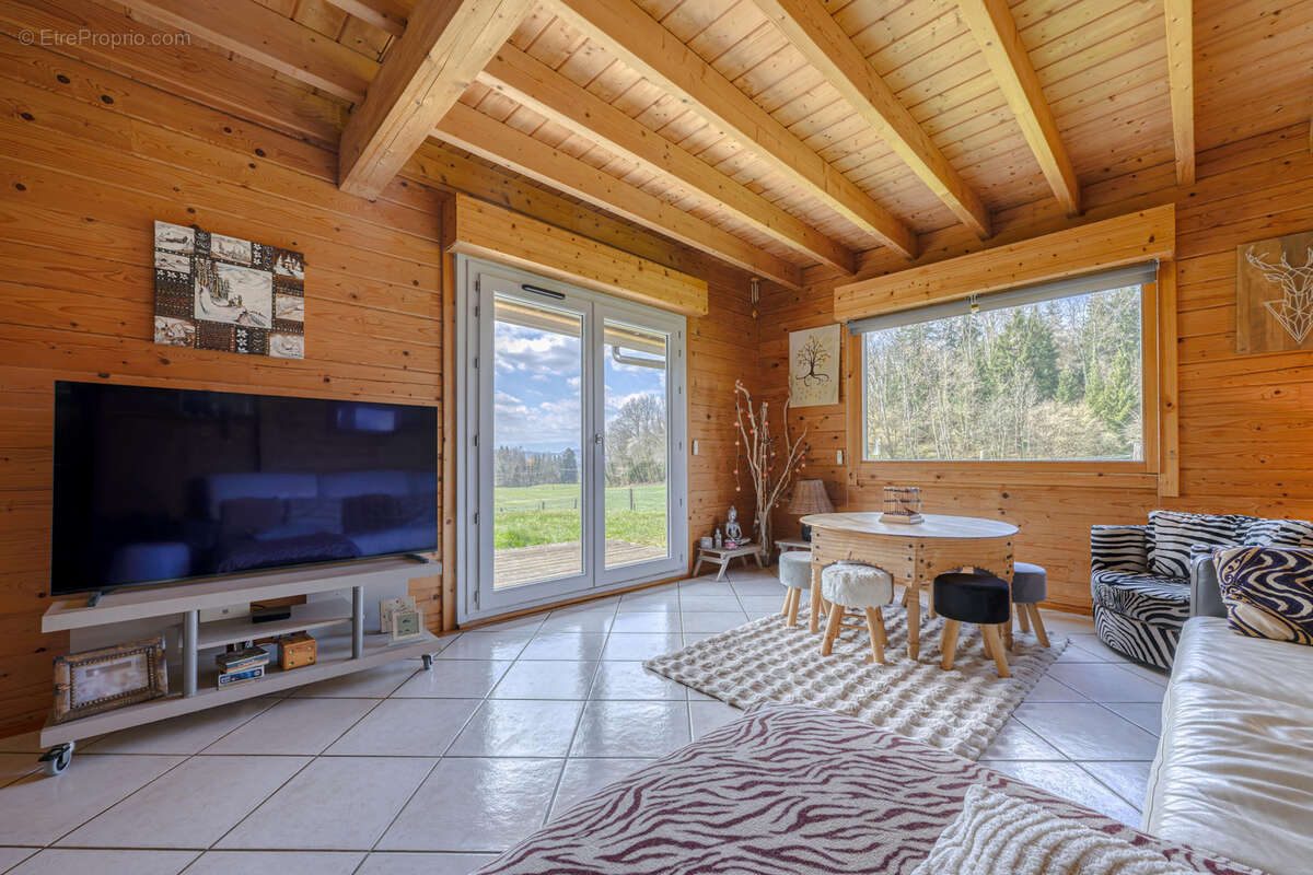 Maison à VIUZ-LA-CHIESAZ