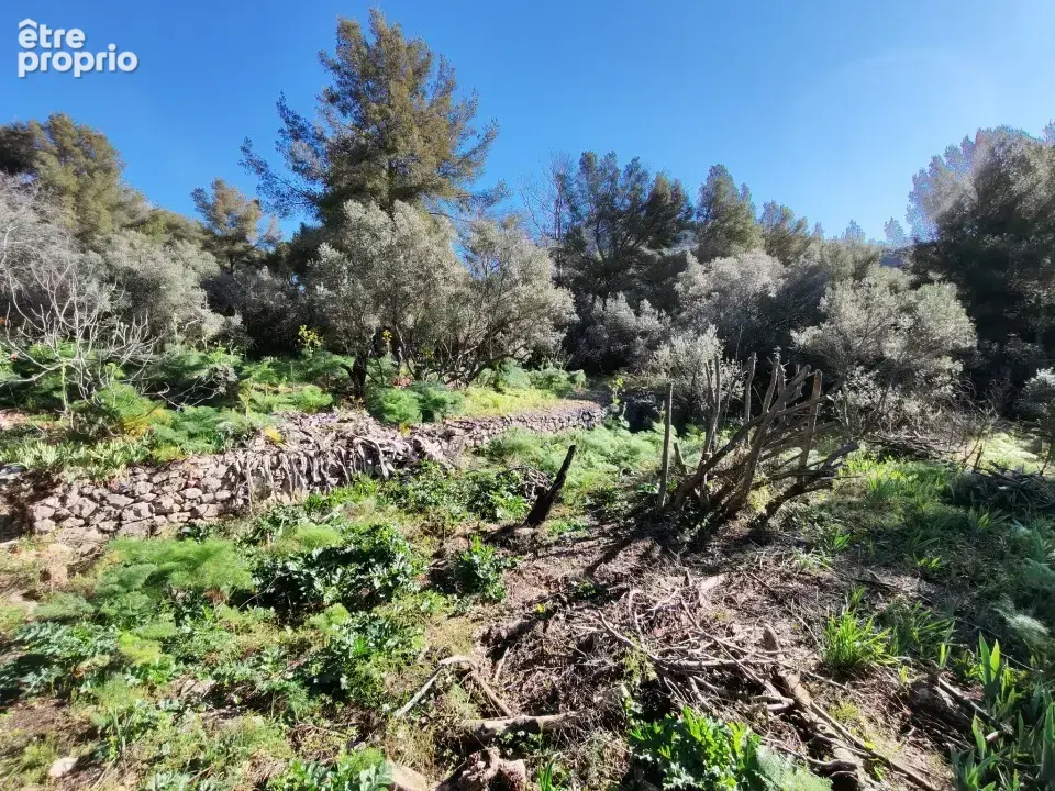 Terrain 2 151 m² à vendre à Toulon (83200) - photo 8