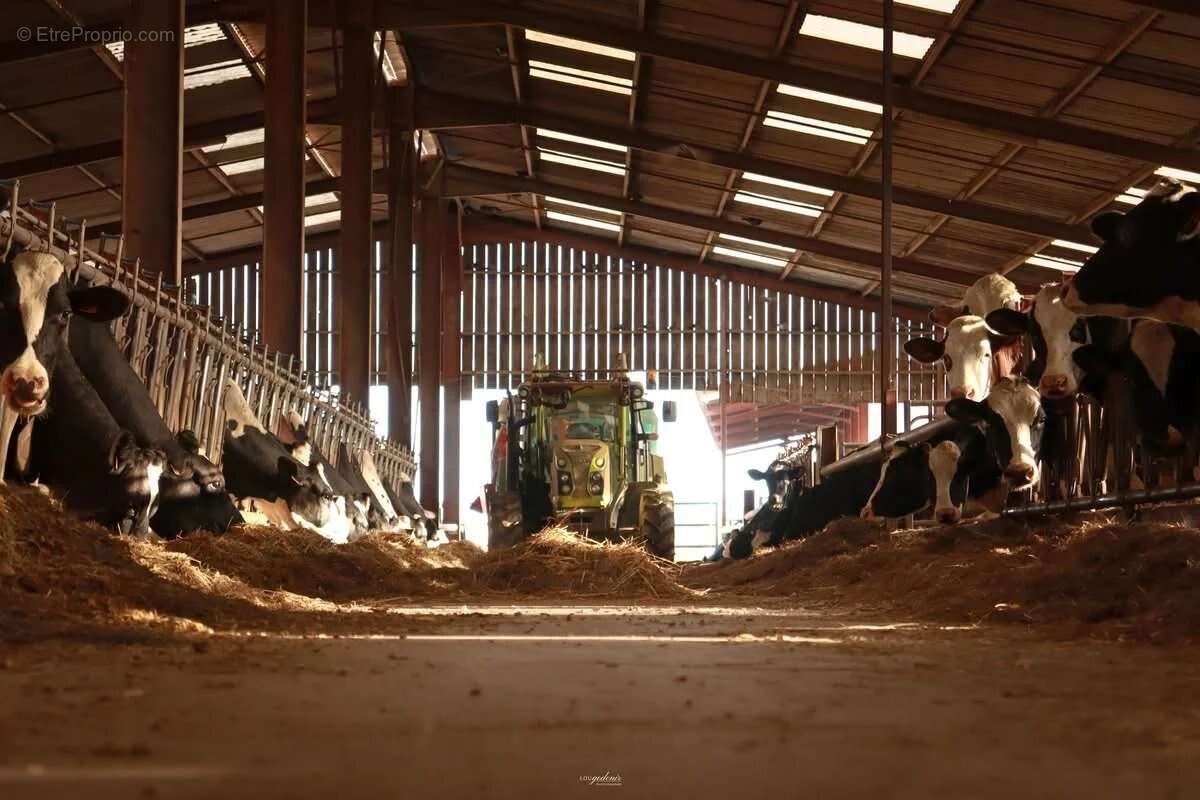 Maison à FRESNES-EN-WOEVRE