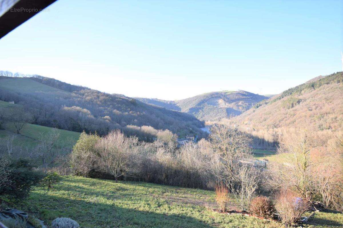 Maison 231 m² à Albi  - photo 5