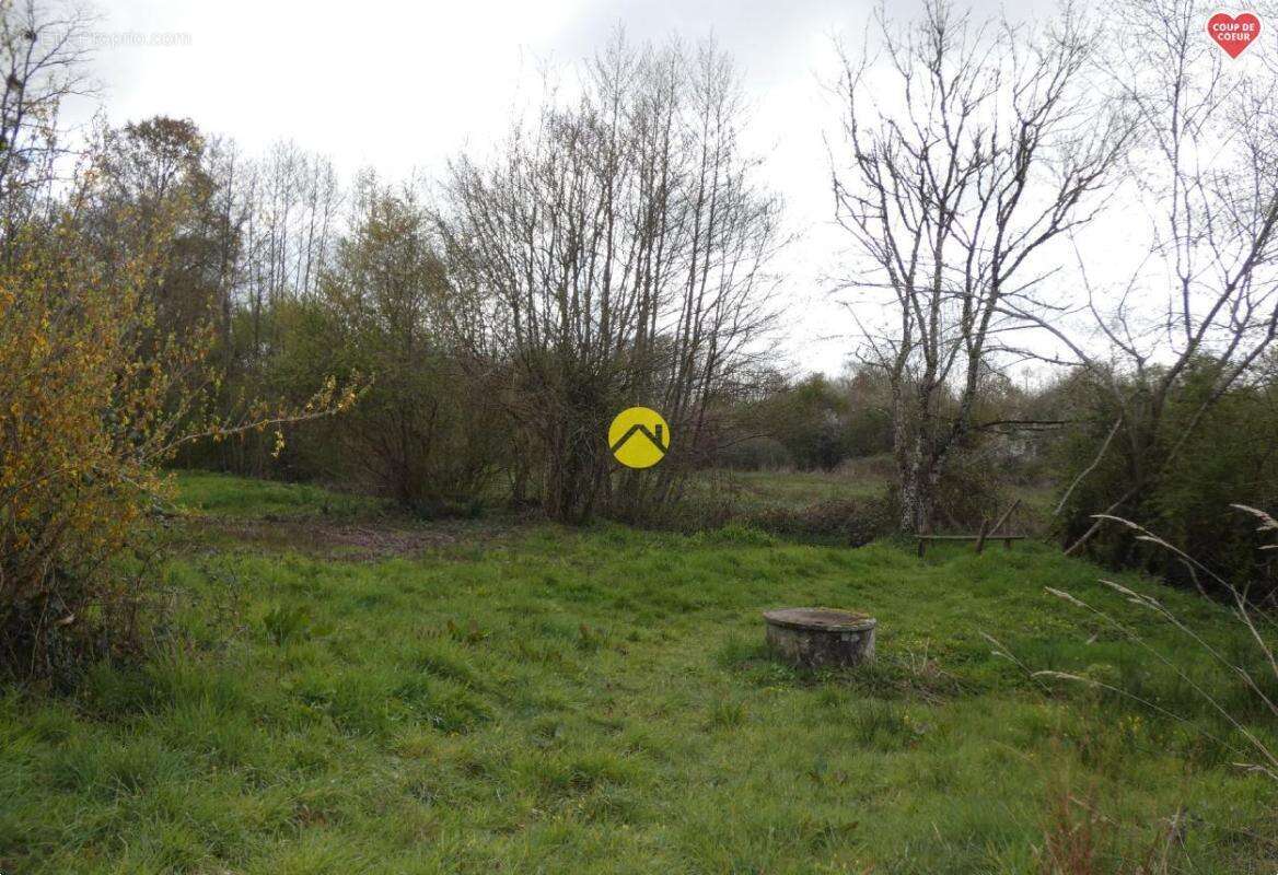 Maison à ARGENT-SUR-SAULDRE