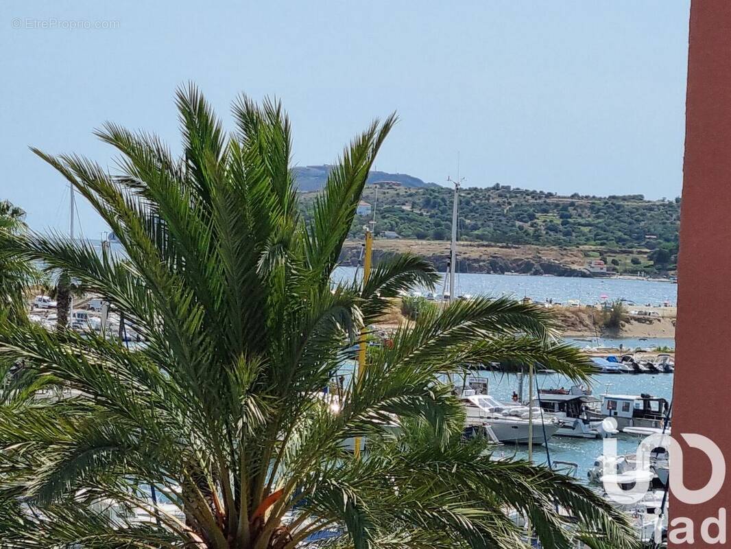 Photo 1 - Appartement à ARGELES-SUR-MER