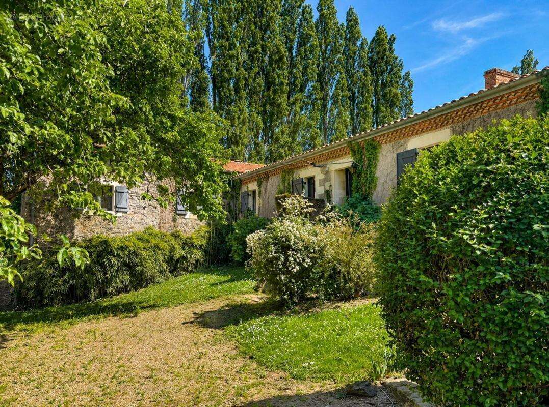 Maison à SAINT-FLORENT-LE-VIEIL