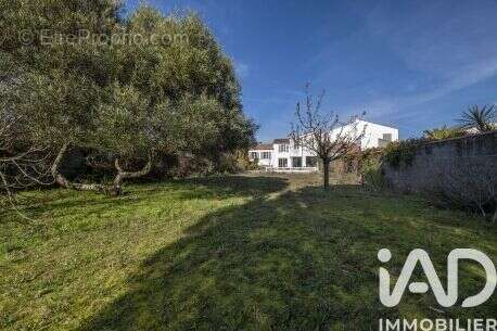 Maison 206 m² à La Flotte  - photo 4