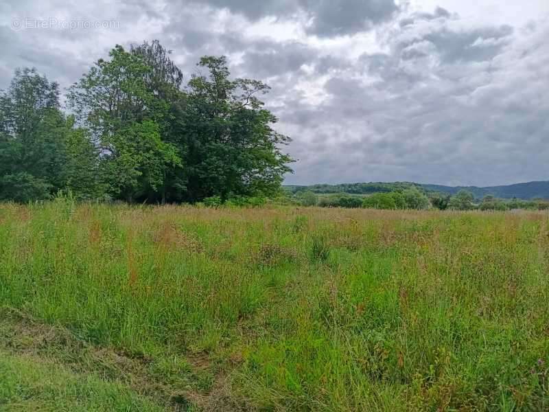 Terrain à VINCELLES