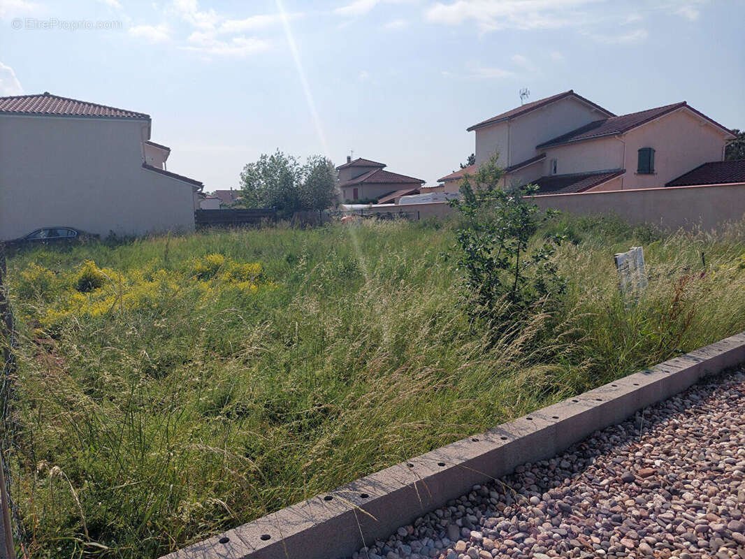 Terrain à SAINT-ANDRE-LE-PUY