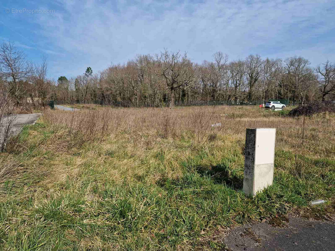 Terrain à SAINT-ANDRE-DE-CUBZAC