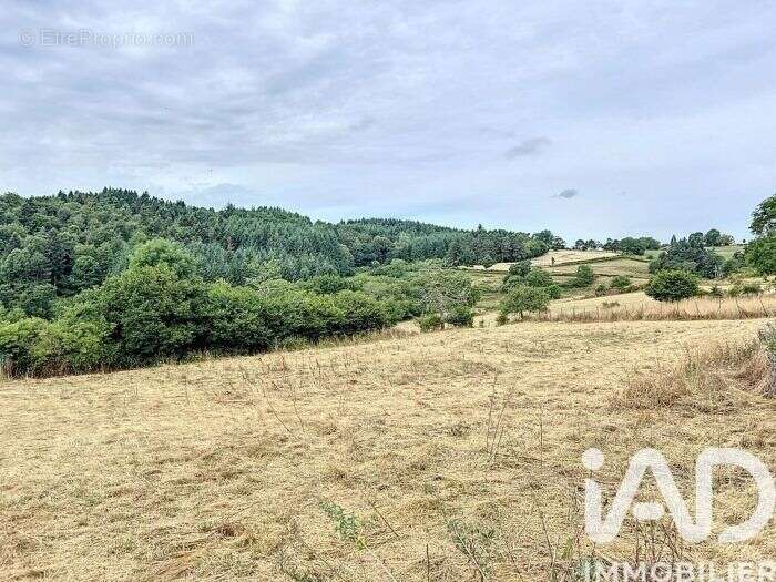 Photo 9 - Maison à SAINT-JUST-EN-CHEVALET