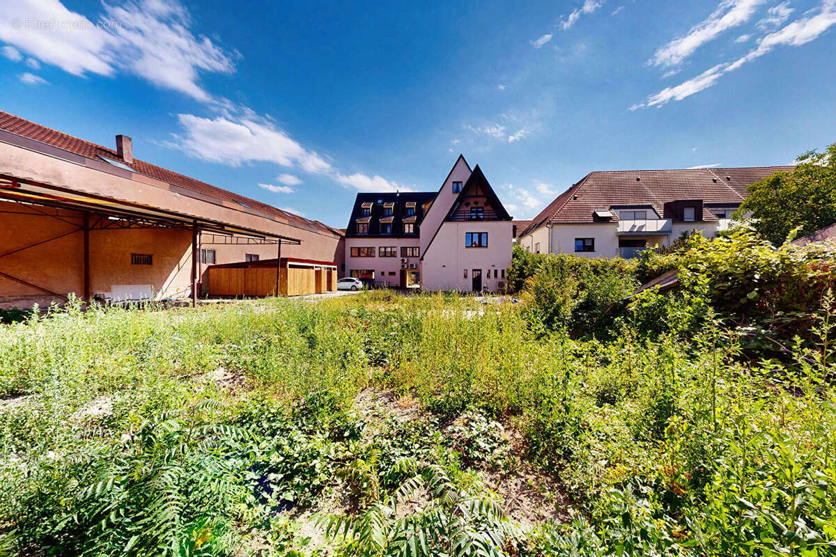 Terrain 560m² à schiltigheim - photo 3