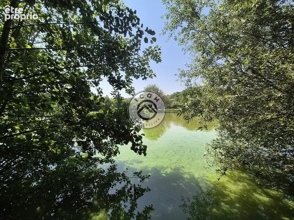 Étang avec chalet sur 1,6 hectare – Bien rare à 15 min de Maubeu - photo 10