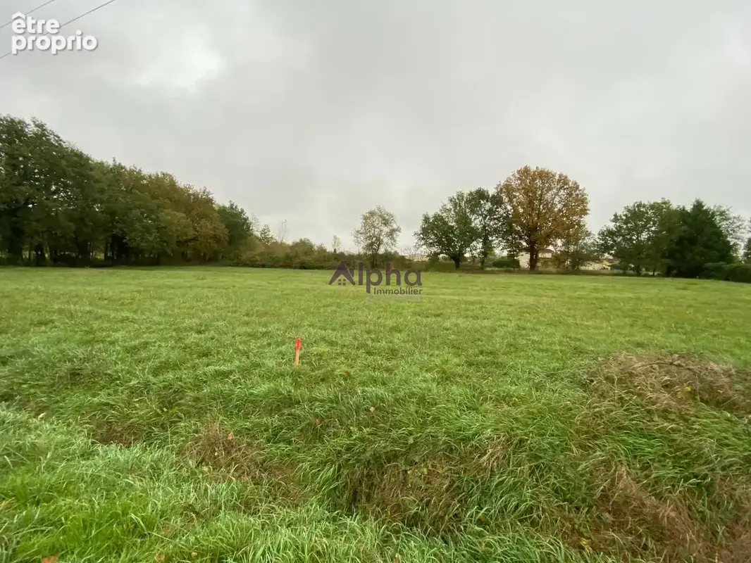 Terrain 2390 m² à Saint-Etienne-De-Tulmont  - photo 2