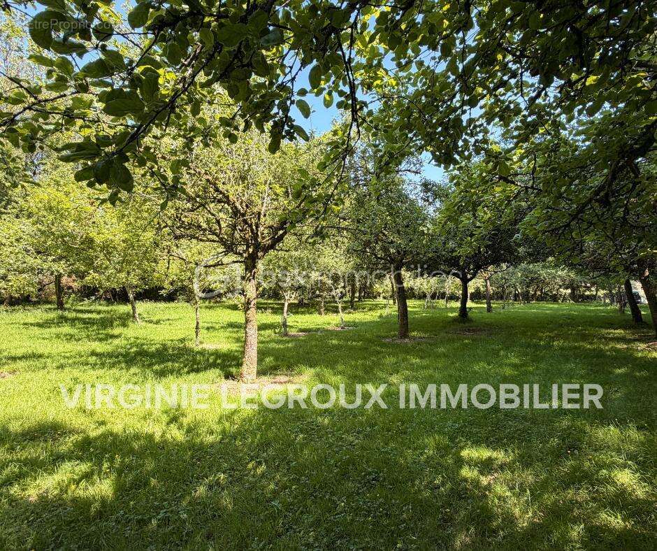 Terrain de loisirs de 15.000m2 avec pièce d'eau et verger - photo 7