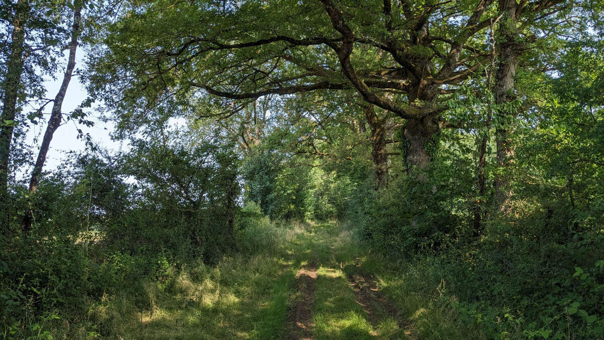 Terrain à USSON-DU-POITOU