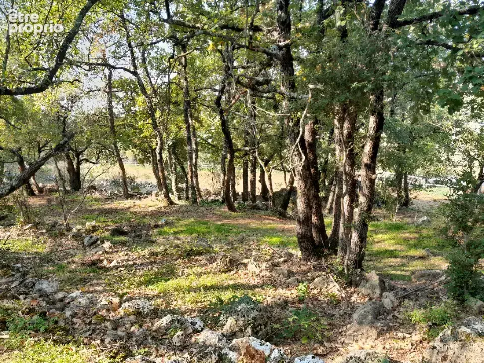 Terrain 3 000 m² à vendre à Saint-Maximin-La-Sainte-Baume (83470) - photo 2