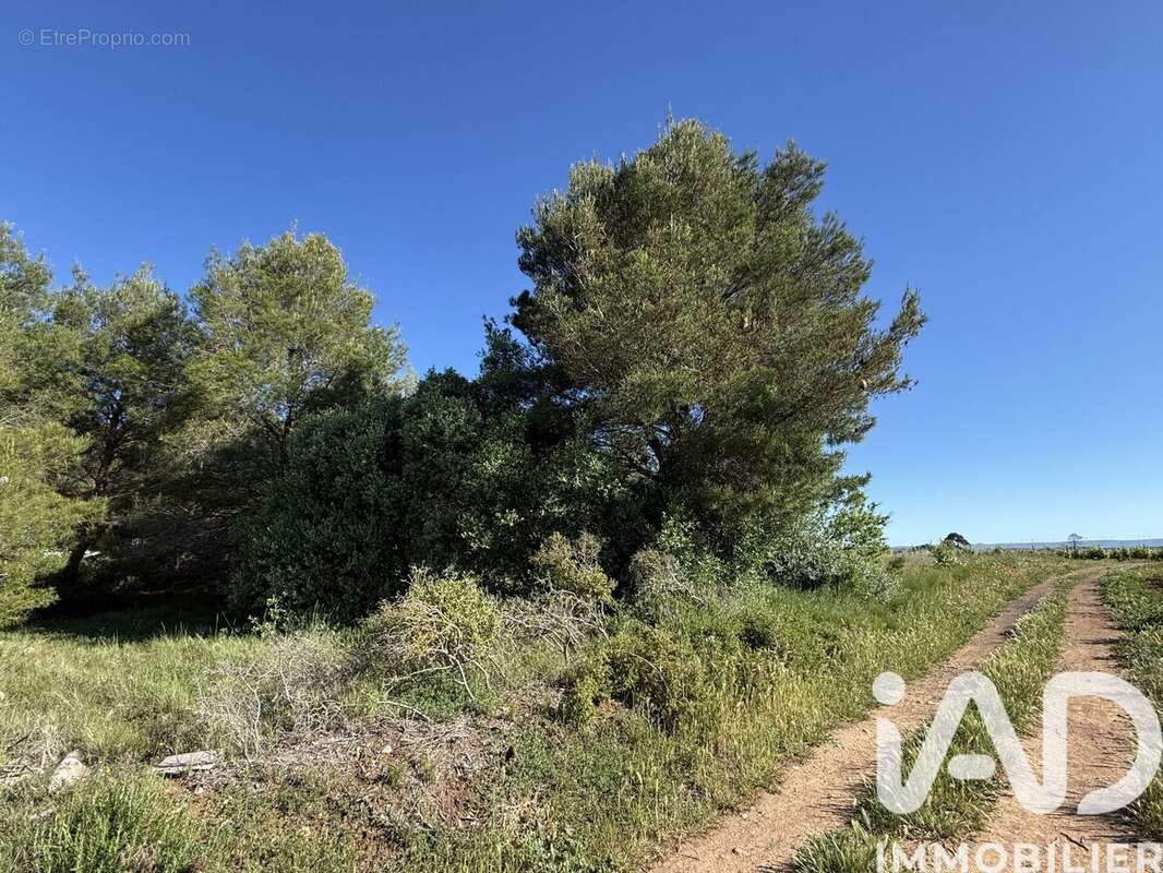Terrain 8424 m² à Pinet  - photo 2