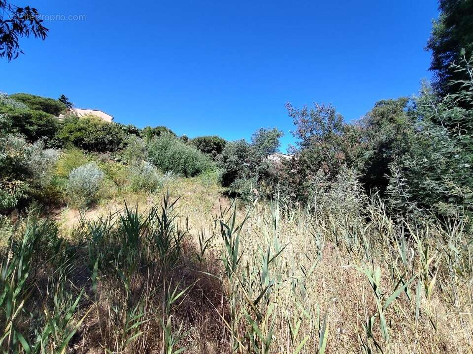 Terrain à SAINTE-MAXIME
