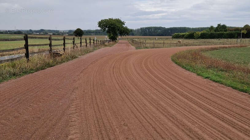 Maison à SAINT-JEAN-D'ANGELY