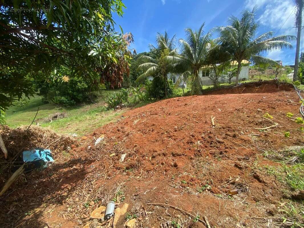 Terrain à LE VAUCLIN