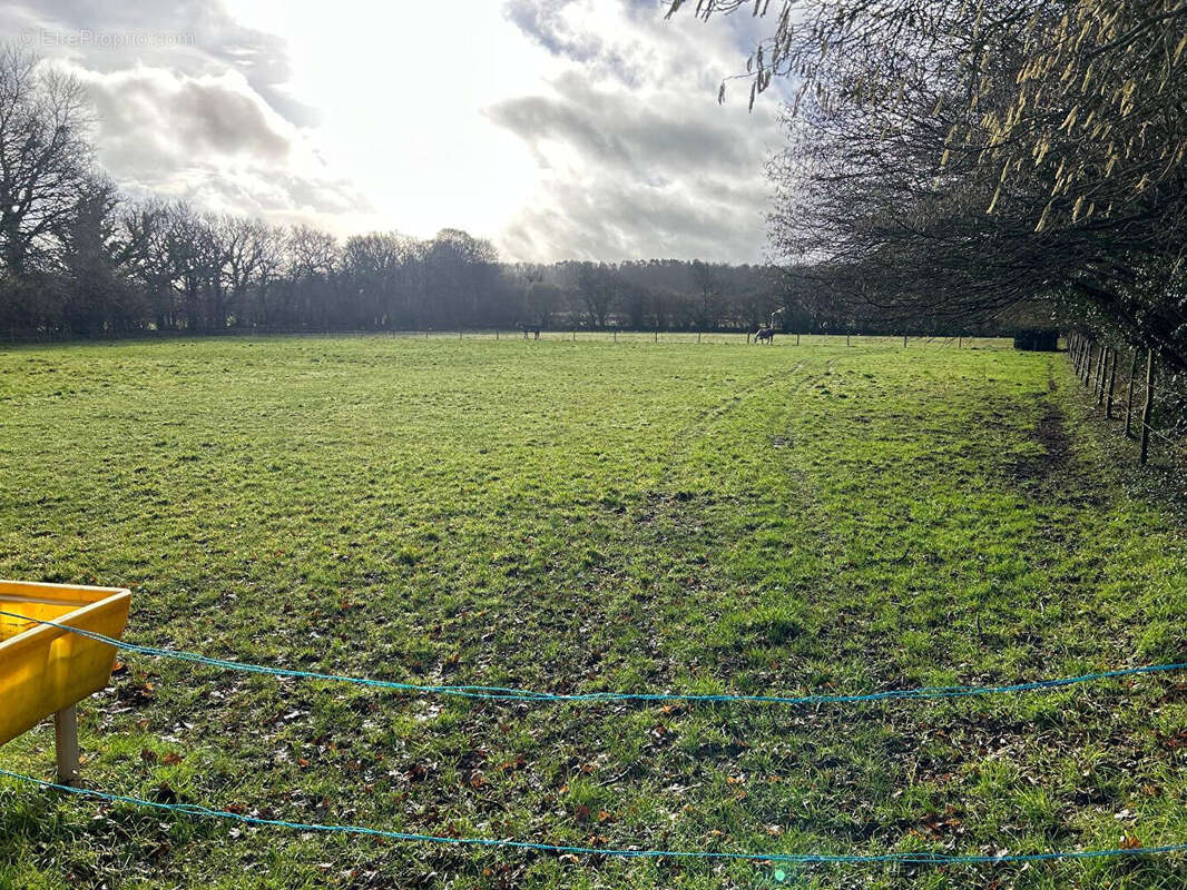 Maison à BELLE-ISLE-EN-TERRE