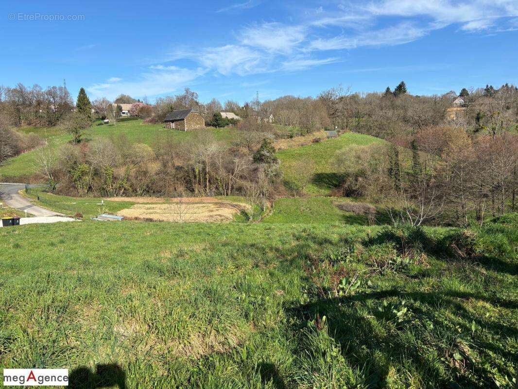 Terrain à SAINTE-FEREOLE