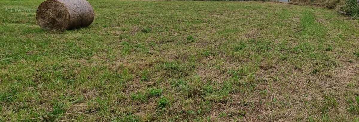 Terrain à MIRAMONT-DE-COMMINGES