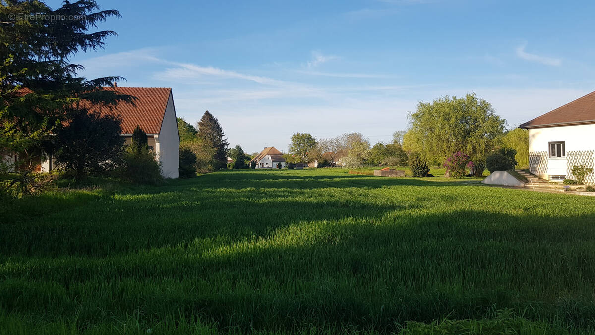 Terrain à BRAGNY-SUR-SAONE
