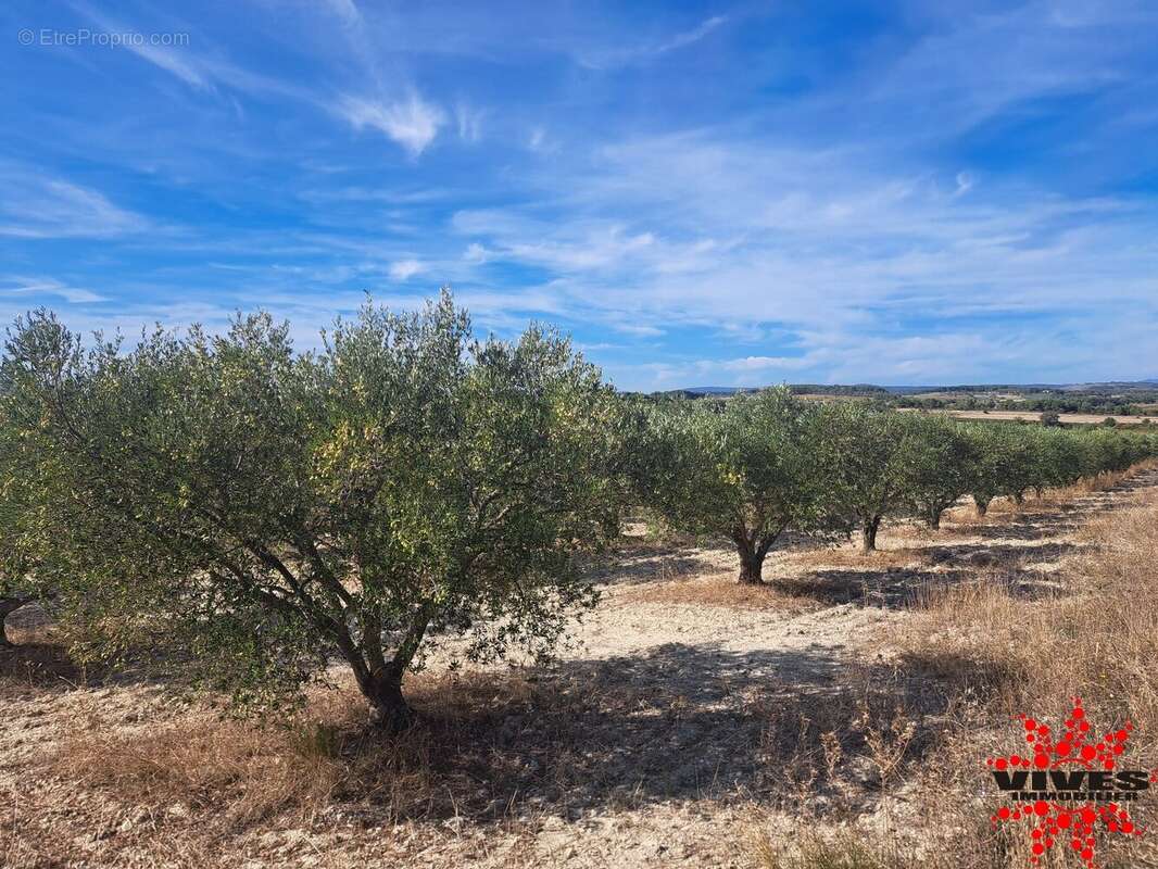 Terrain à CAPESTANG