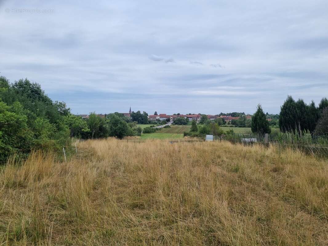 Terrain à vendre de 4 182,00 m²  () - photo 2