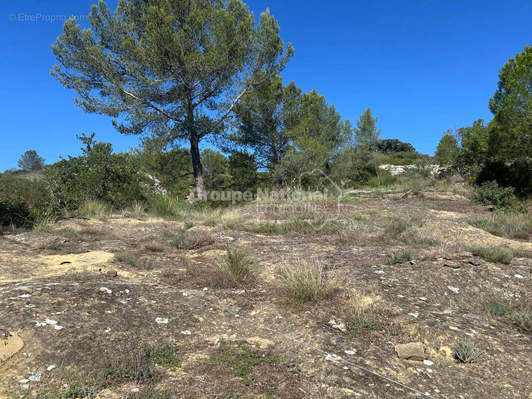 Terrain à VILLENEUVE-LES-AVIGNON
