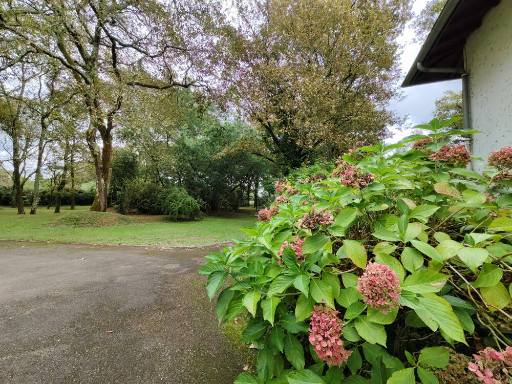 Maison à SAINT-PAUL-LES-DAX