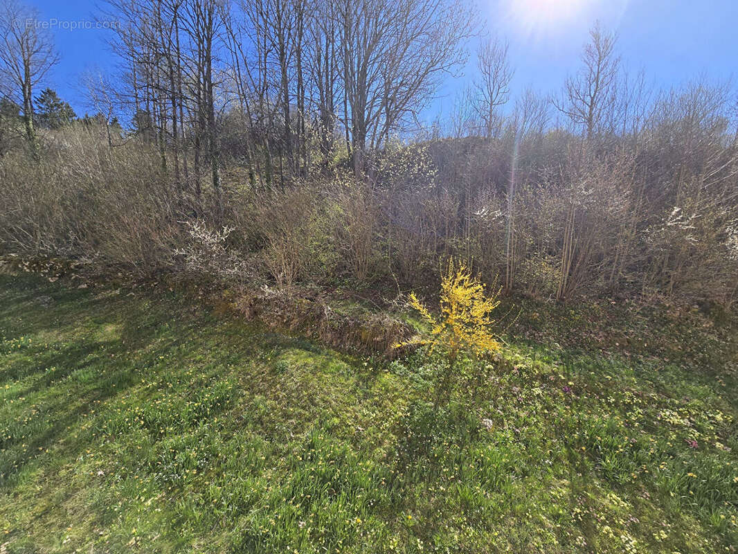 Appartement à PONTARLIER