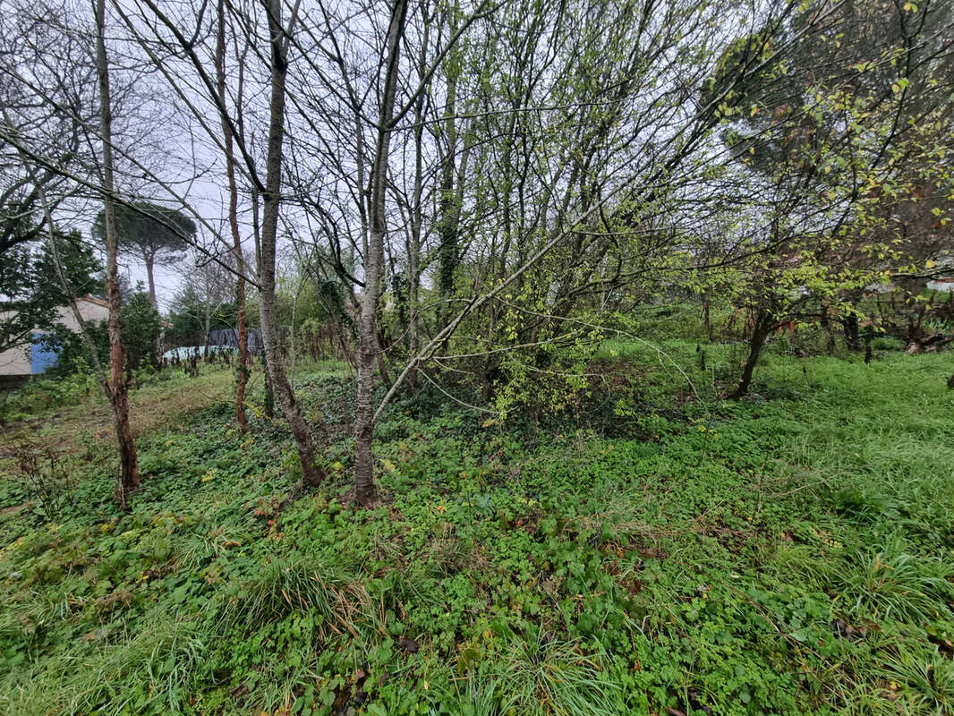 Terrain à AUREVILLE