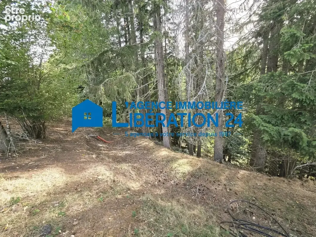 MAISON EN PIERRE 183m² + dépendances sur 7600m² - photo 11