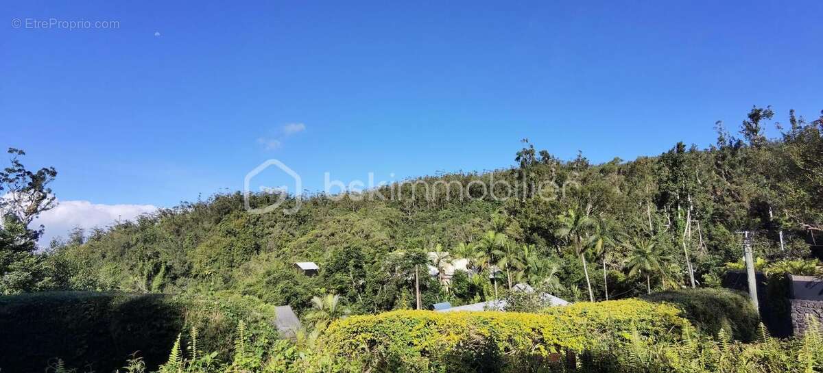 A vendre - villa - le brule saint-denis - photo 12