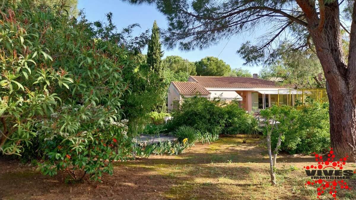 Maison à PUISSALICON