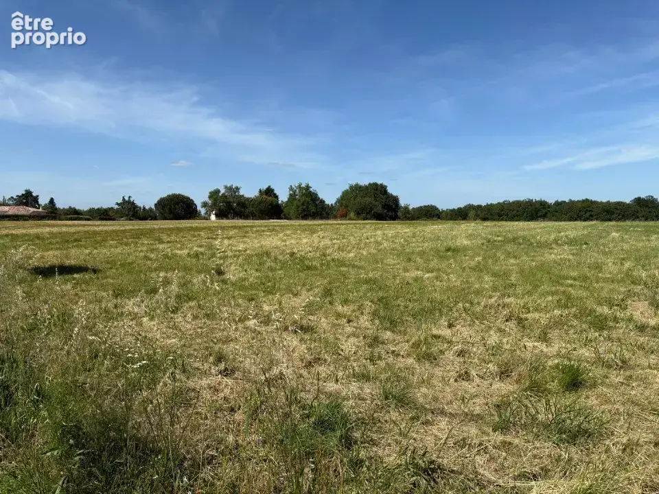Terrain 650 m² à Mirepoix-Sur-Tarn  - photo 3