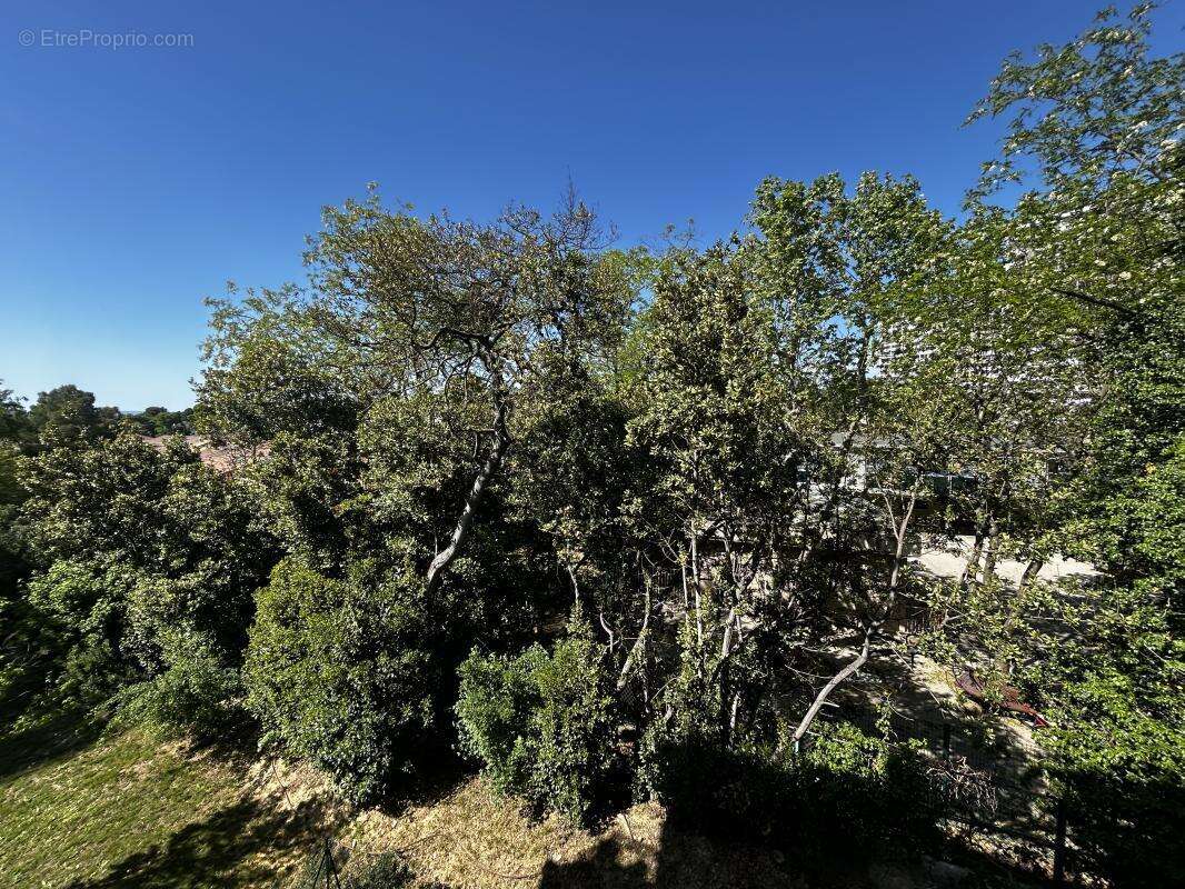 Appartement à MARSEILLE-9E