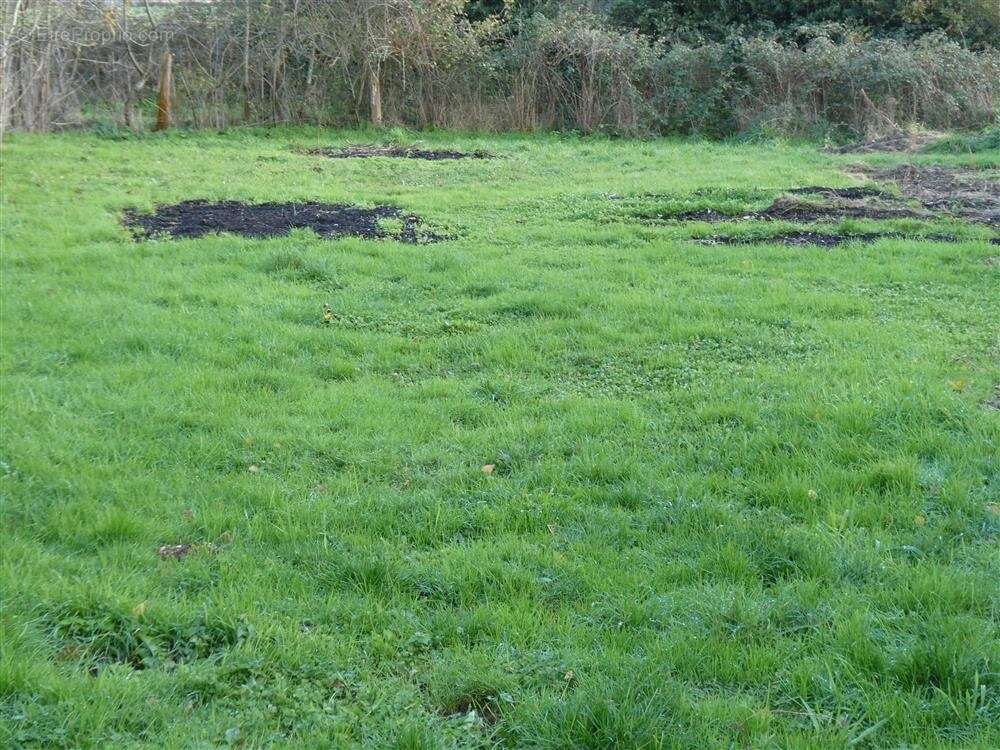 Maison à LASSAY-LES-CHATEAUX