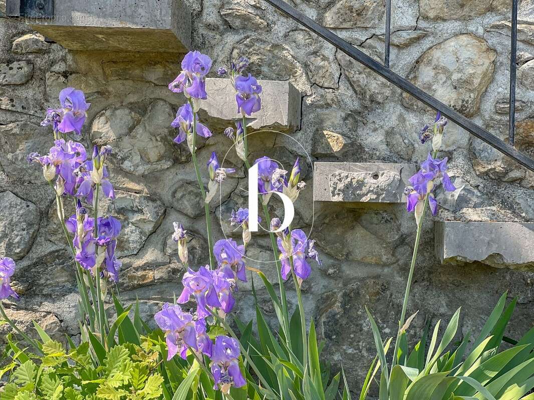 Propriété avec vue exceptionnelle - photo 38
