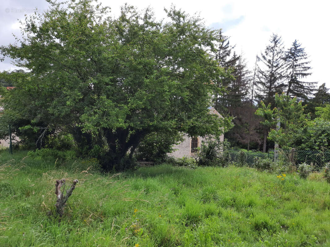 Maison à RIVERIE