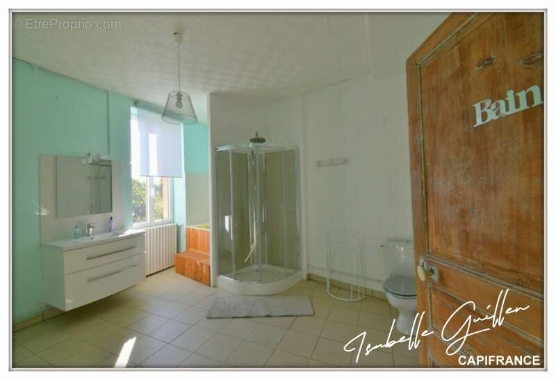 Maison à vendre 9 pièces VESDUN (18) - photo 51